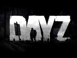 DayZ DayZ