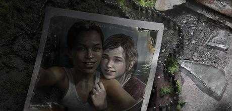The Last of US DLC