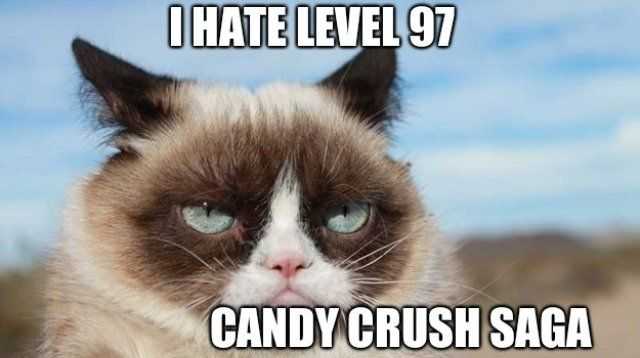 candy crush saga cat
