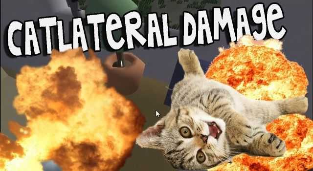 catlateral damage