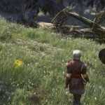 Skyrim presenta ancora i più dettagliati ambienti verdeggianti