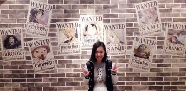 One Piece parco tema banner