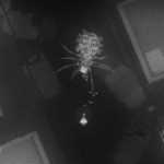 Noct: su Steam Early Access arriva lo sparatutto perfetto per Halloween