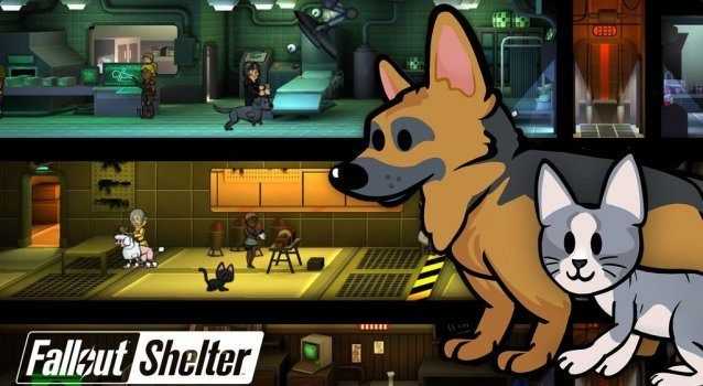 fallout shelter fallout shelter