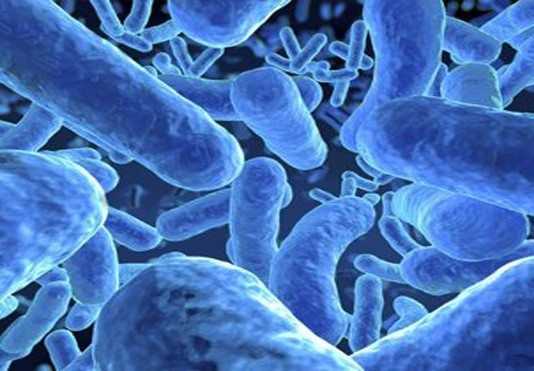 Cellule computer: il MIT compie l’impresa cellule computer