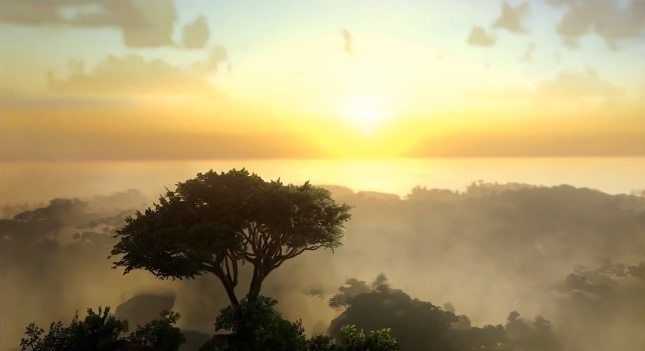 dark and light dark and light