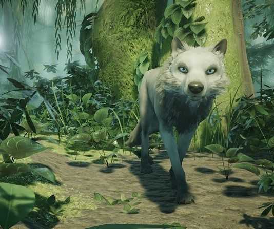 Lost Ember: trailer per l’indie che ci trasformerà in lupi lost ember