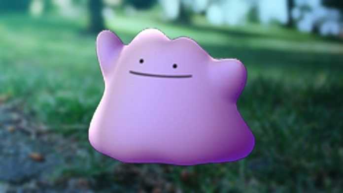 ditto pokémon go
