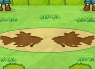 Pokémon: nuovo titolo mobile in arrivo in Giappone