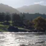 In Far Cry 5, anche sesso tra animali