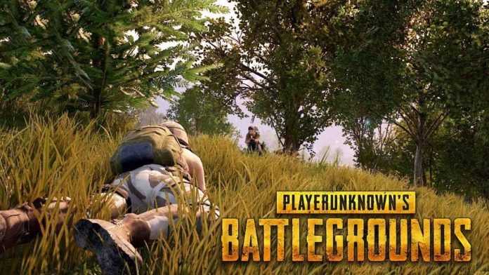 playerunknown's battlegrounds