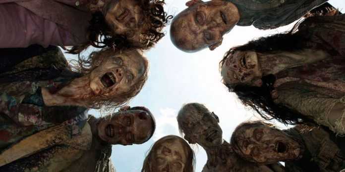 The Walking Dead The Walking Dead