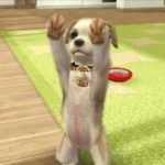 Nintendogs