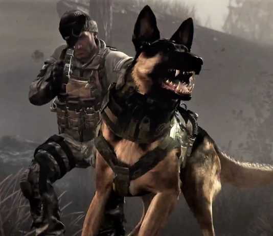 Call of Duty dog shit
