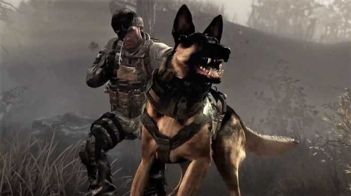 Call of Duty dog shit