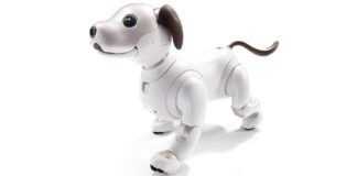 Sony Aibo