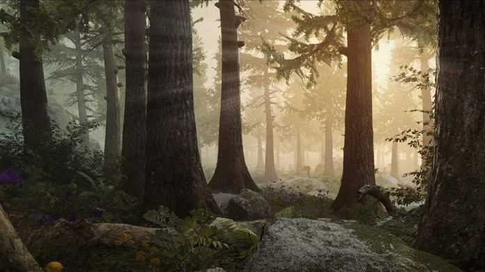 Battle Royale Battle Royale