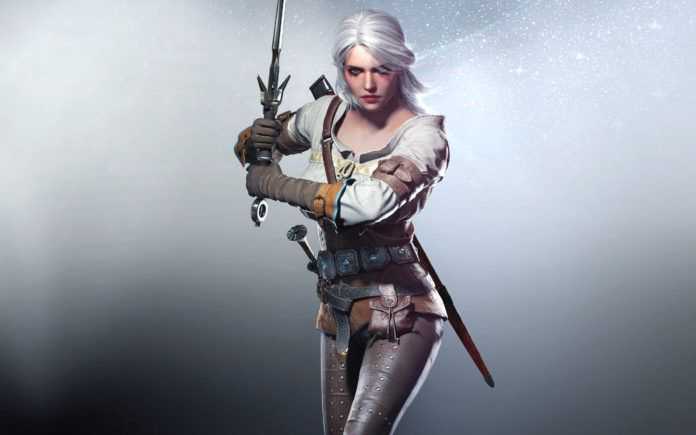 The Witcher The Witcher
