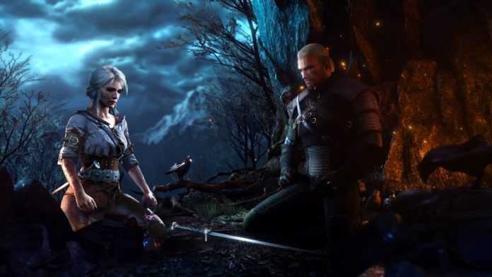 The Witcher The Witcher