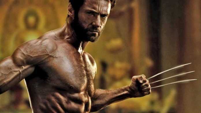 Wolverine