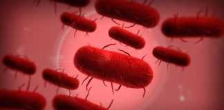 Plague Inc