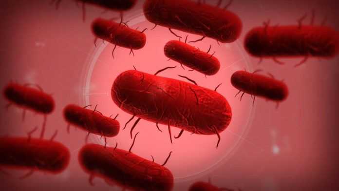 Plague Inc
