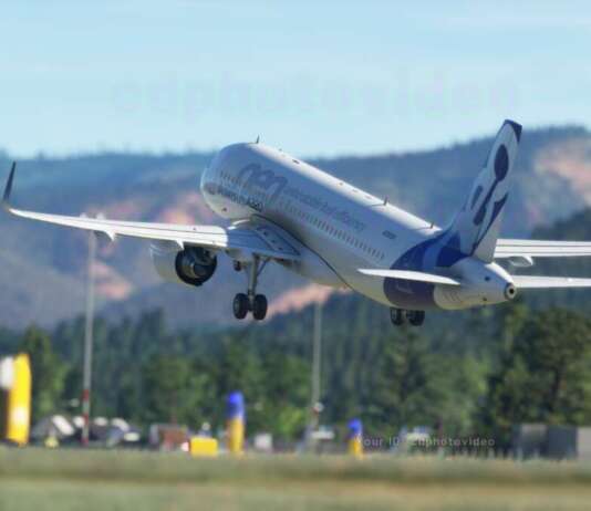 Microsoft Flight Simulator