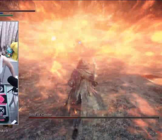 Dark Souls 3 luality