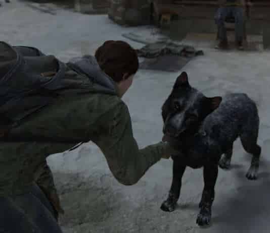 The Last Of Us Part 2 cani