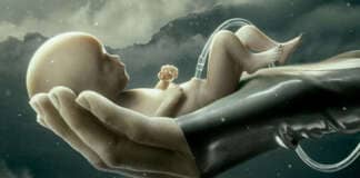 Raised By Wolves Ridley Scott