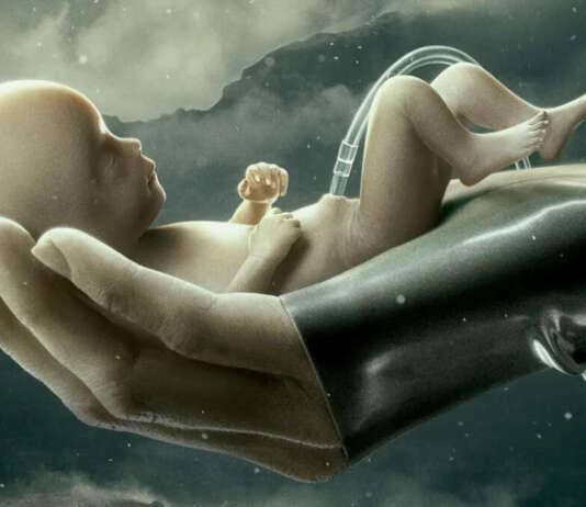 Raised By Wolves Ridley Scott