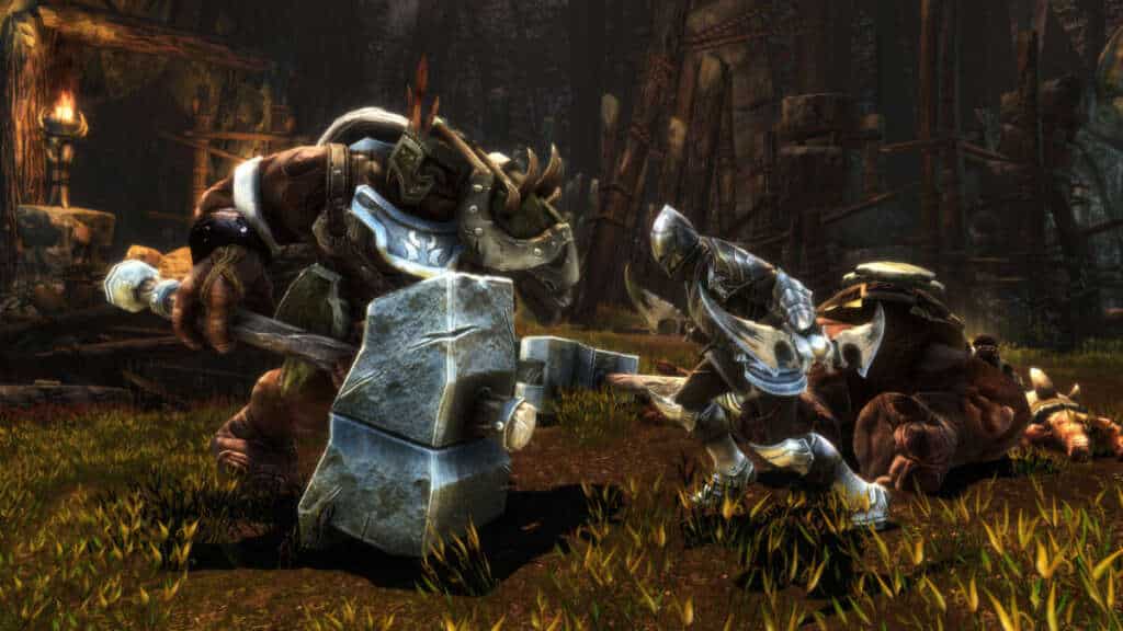 Kingdoms of Amalur 5
