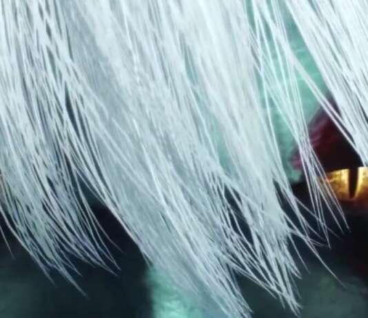 devil may cry 5 special edition