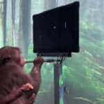 Neuralink: un macaco può giocare a Pong solo con l’uso della mente. Presto sul mercato i primi dispositivi per disabili! Neuralink Pager macaco Pong