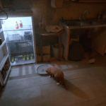 Stray si mostra nel suo primo gameplay! Purtroppo, lo vedremo solo nel 2022 Stray Annapurna Interactive BlueTwelve