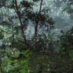 Unreal Engine 5: realizzata una impressionante foresta ispirata a Crysis e Far Cry! unreal-engine-5-foresta