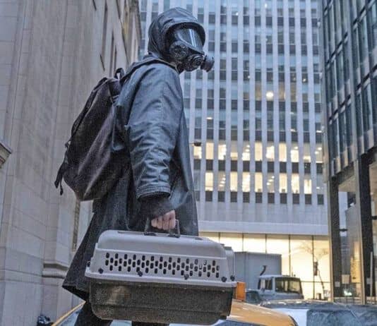 Y l'utimo uomo Disney+