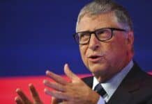 NFT: per Bill Gates, fondatore di Microsoft, sono solo una speculazione! bill-gates-nft