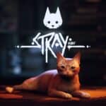 Stray-annapurna-interactive