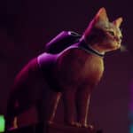 Stray: Annpurna, scatto ‘felino’ su Steam. Oltre 60.000 giocatori connessi contemporaneamente al lancio stray-annapurna-interactive