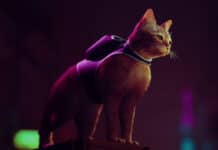 stray-annapurna-interactive