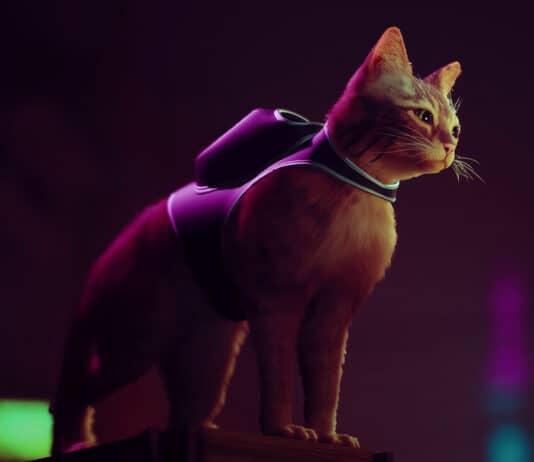 Stray: svelato il numero di trofei ottenibili nel titolo di Annapurna Interactive su PlayStation stray-annapurna-interactive