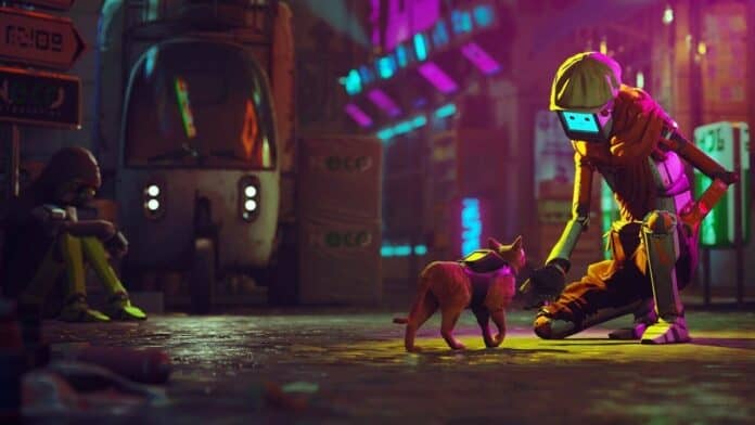 stray raccolte fondi