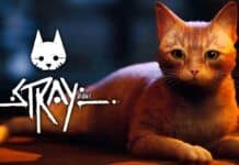 Stray: il gattino di BlueTwelve debutta anche su Nintendo Switch. Reveal trailer durante il direct stray gioco più venduto della settimana su steam