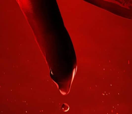 Dampyr: il film tratto dal fumetto Bonelli arriva al cinema a ottobre dampyr