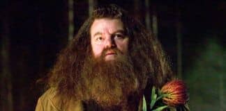 rubeus-hagrid-robbie-coltrane-harry-potter