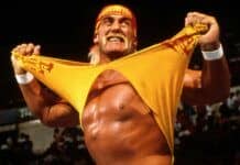 hulk hogan
