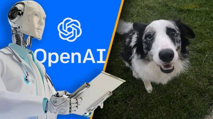 chat gpt openai sassy