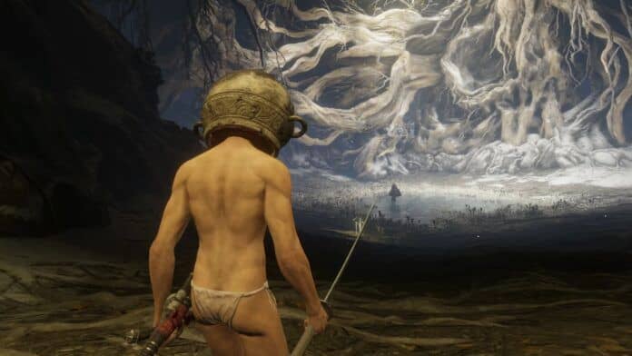 let me solo her elden ring shadow of the erdtree fromsoftware bandai namco