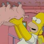 the simpsons movie spider pork homer